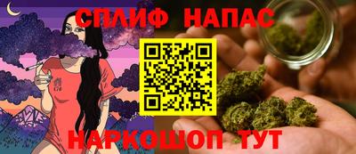 мяу мяу мука Тула