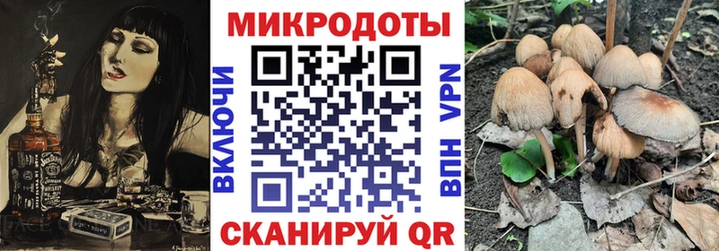 Галлюциногенные грибы Cubensis  нарко площадка наркотические препараты  Краснокамск  купить наркотики сайты 